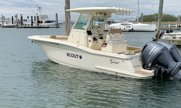 Scout – Scout 255′